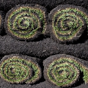 10 SQ.FT. ROLL OF SOD 24"X60"