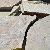 CHILTON STEPPERS 1-2"T