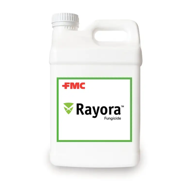 RAYORA FUNGICIDE 2.5 GAL