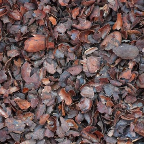 2CF COCOA BEAN MULCH-Y