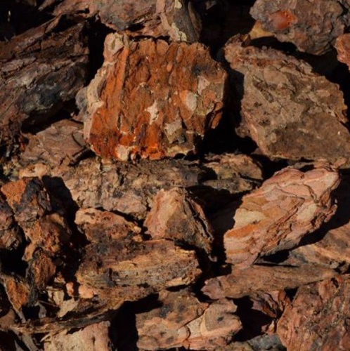 PREM LG PINE BARK 2CF