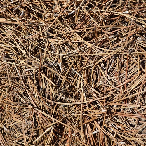 PINE STRAW BALE 2CU