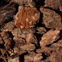 PREM LG PINE BARK 2CF