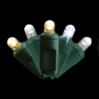 5MM CONVEX 70L BRC CHMPGN