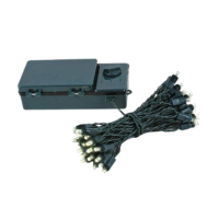 5MM 25LT BATTERY POWERED WARM WHITE