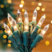 Cut-Away Incandescent Lights