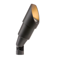 FX RS ACCENT LIGHT