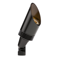FX NP ACCENT LIGHT ZDC