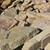 CHILTON 2-3 MAN OUTCROPPING 6-10