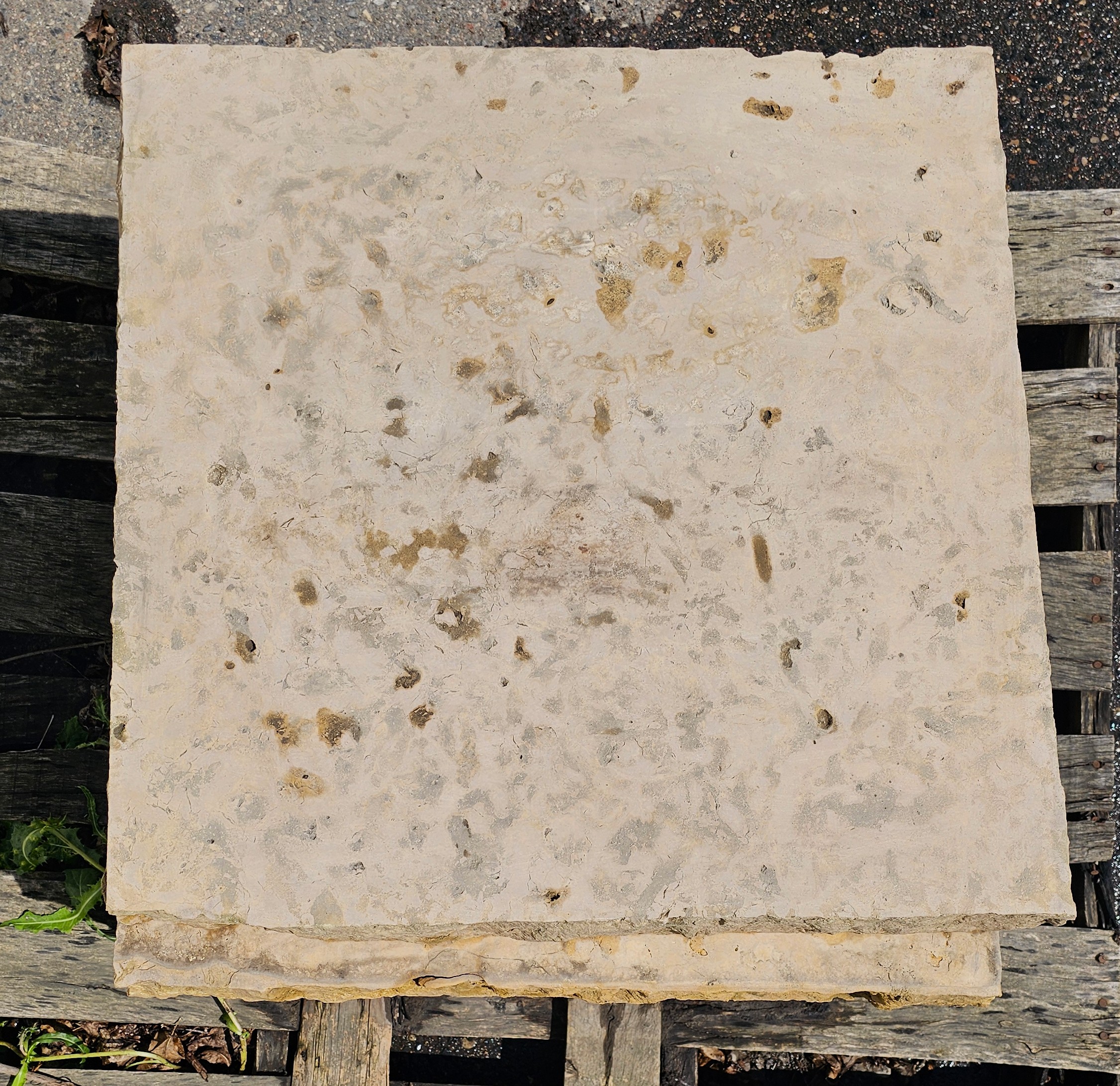 3\" KASOTA AMBER 24X24 CAP