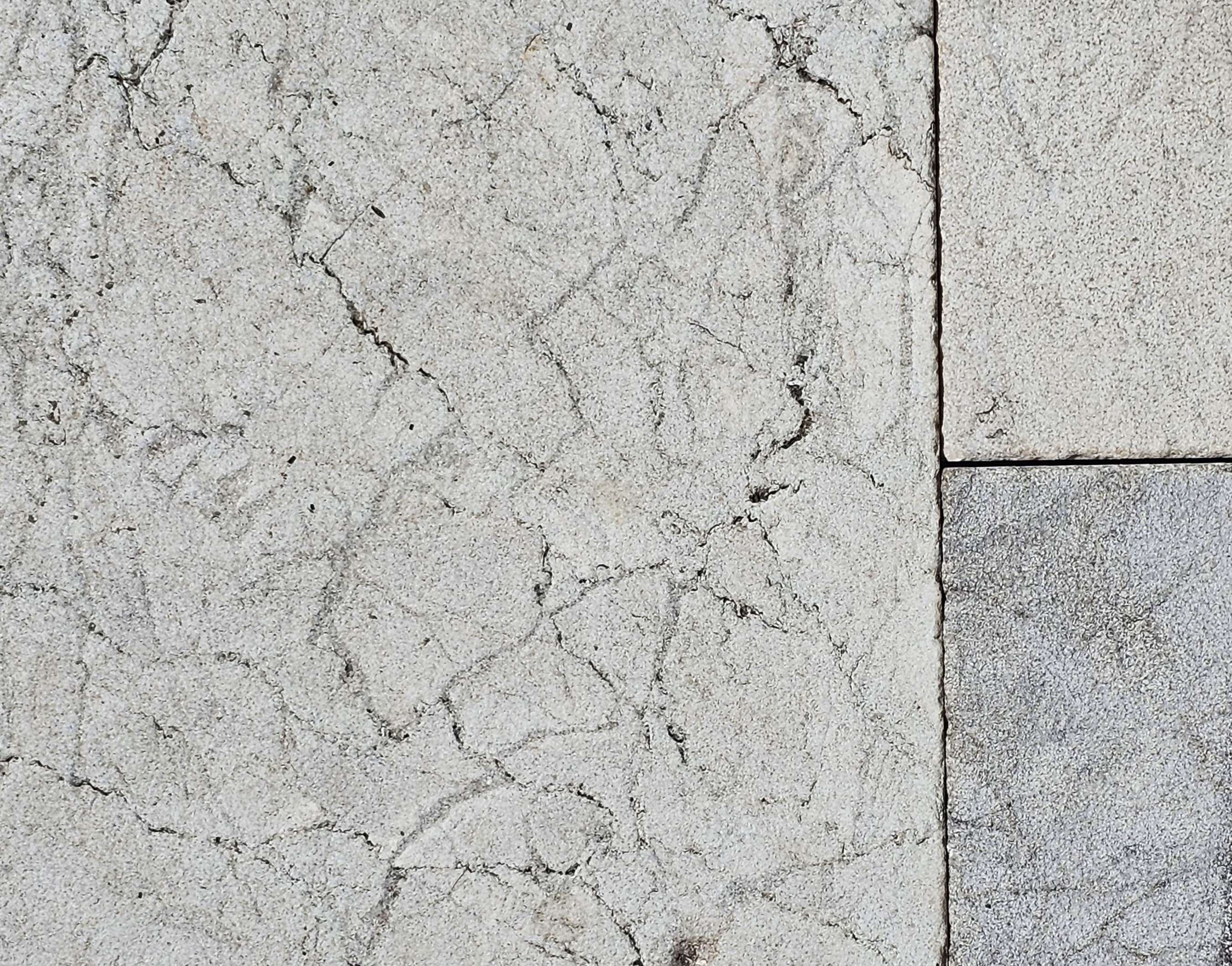 CREMA EDA SANDBLAST 8\" FRENCH PATTERN