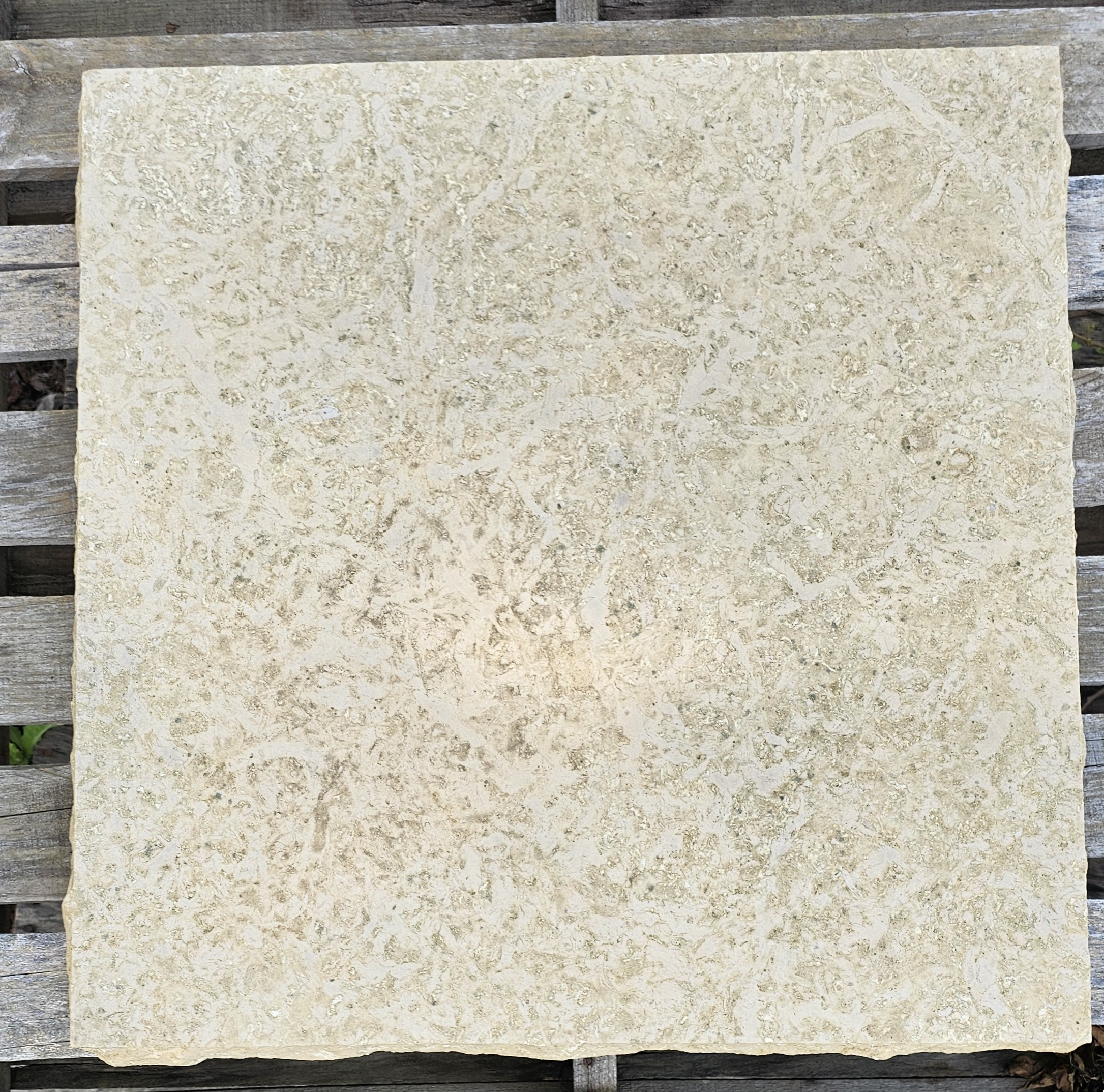 2\" KASOTA MN BUFF 24X24 RF CAP