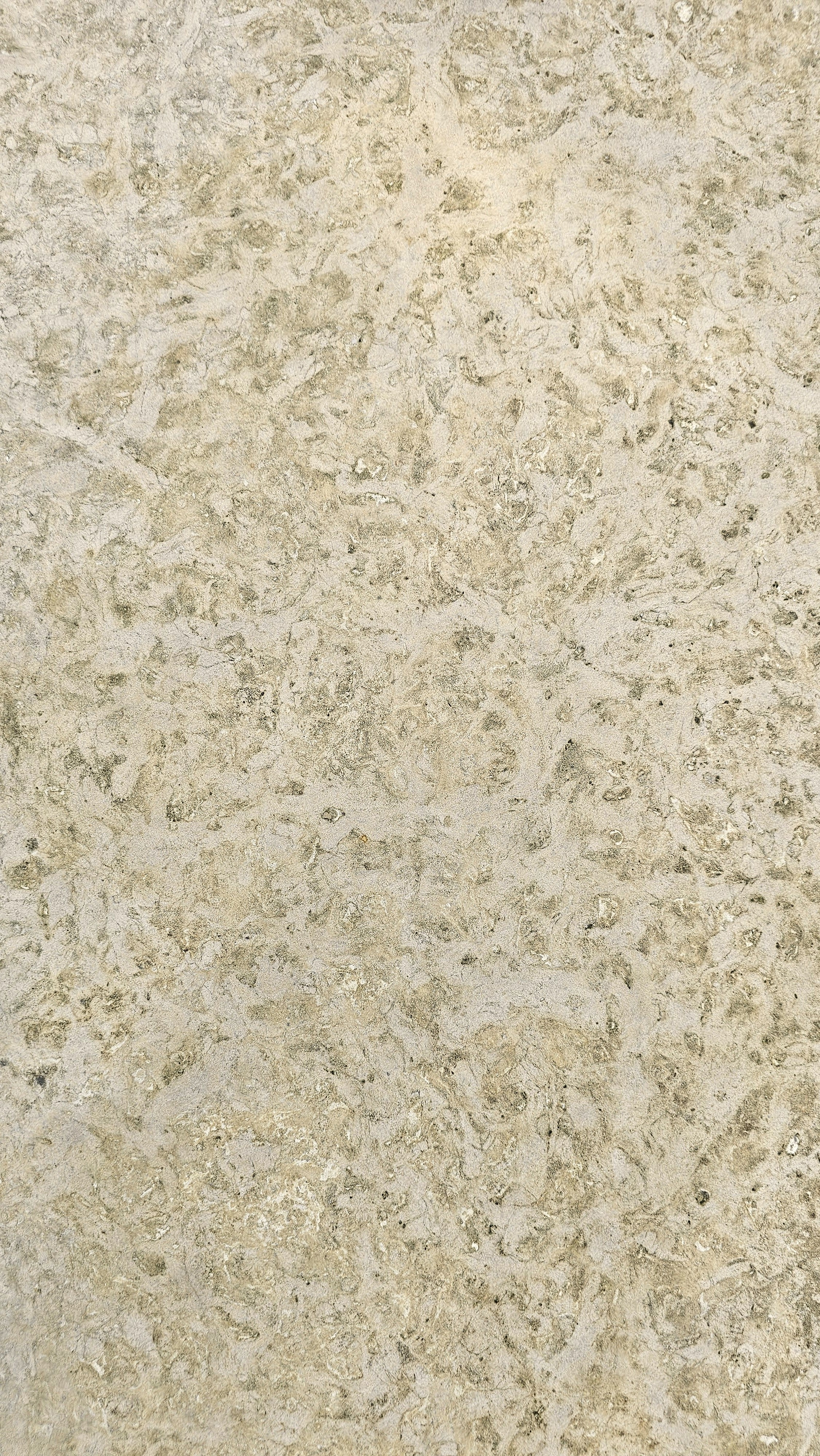 2\" KASOTA MN BUFF 24X24 RF CAP