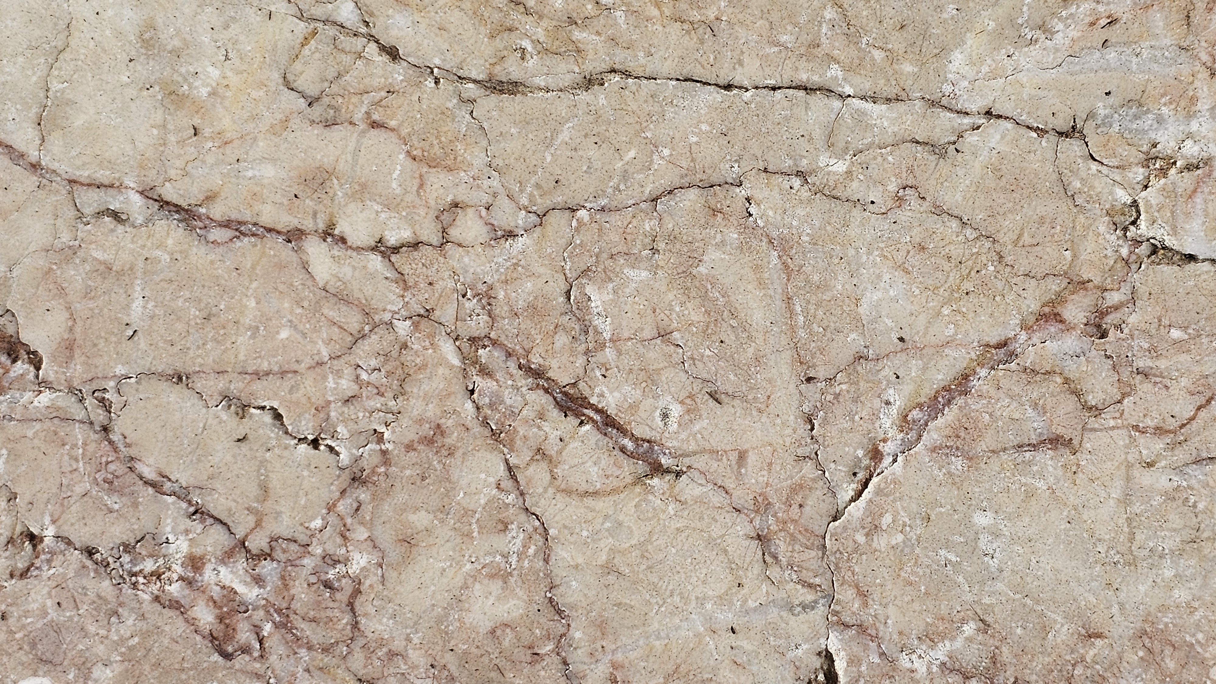 CREMA EDA ROSA ANTIQUED 16X24