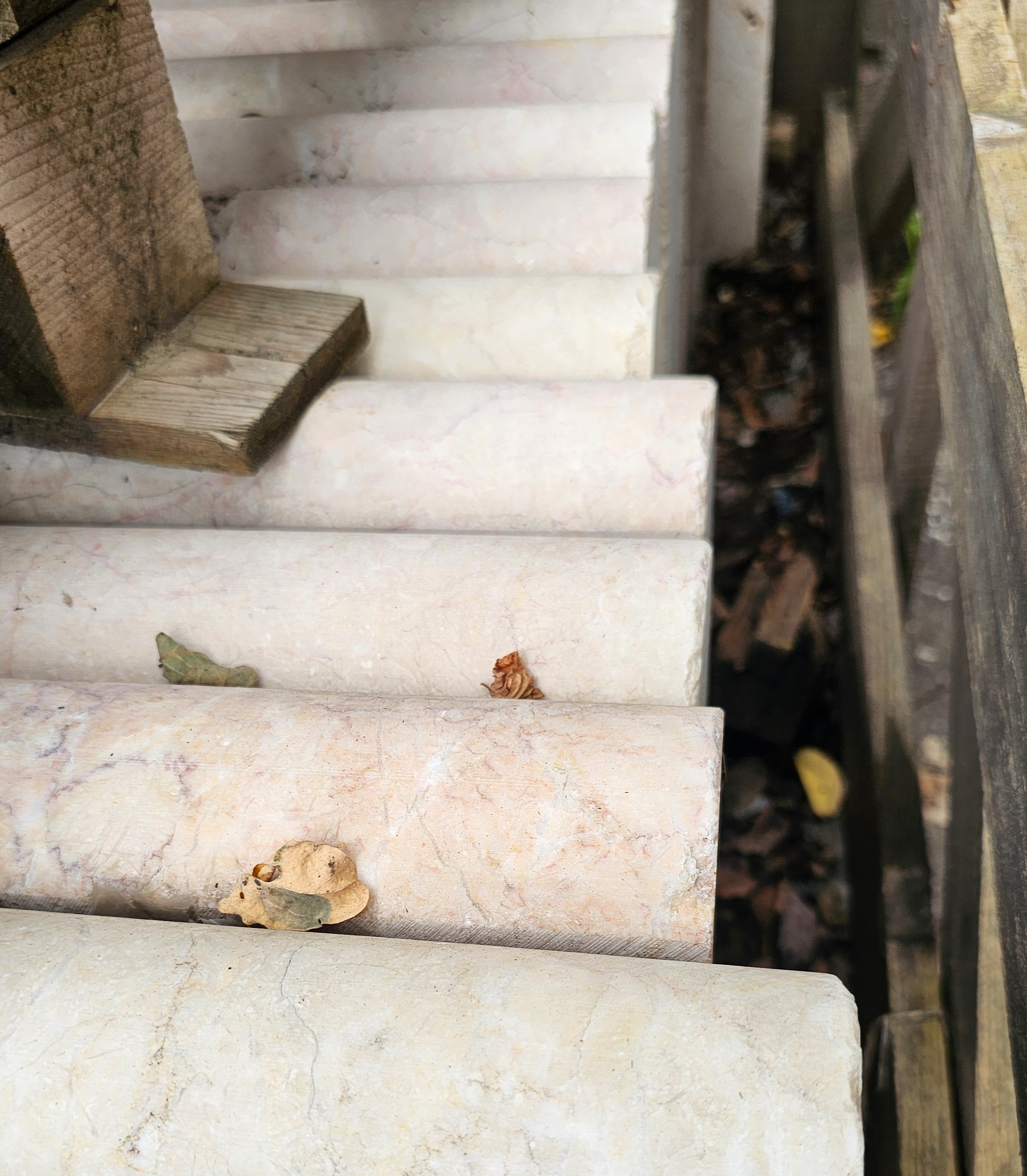 12X48 CREMA EDA ROSA ANTIQUED BULLNOSE