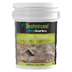 PROSERIES PAVER RESTORER 5GAL