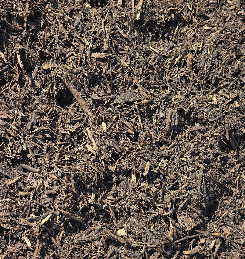 NEW ENGLAND FINE SELECT