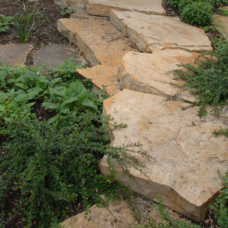EDEN W/E OUTCROPPING BOBCAT