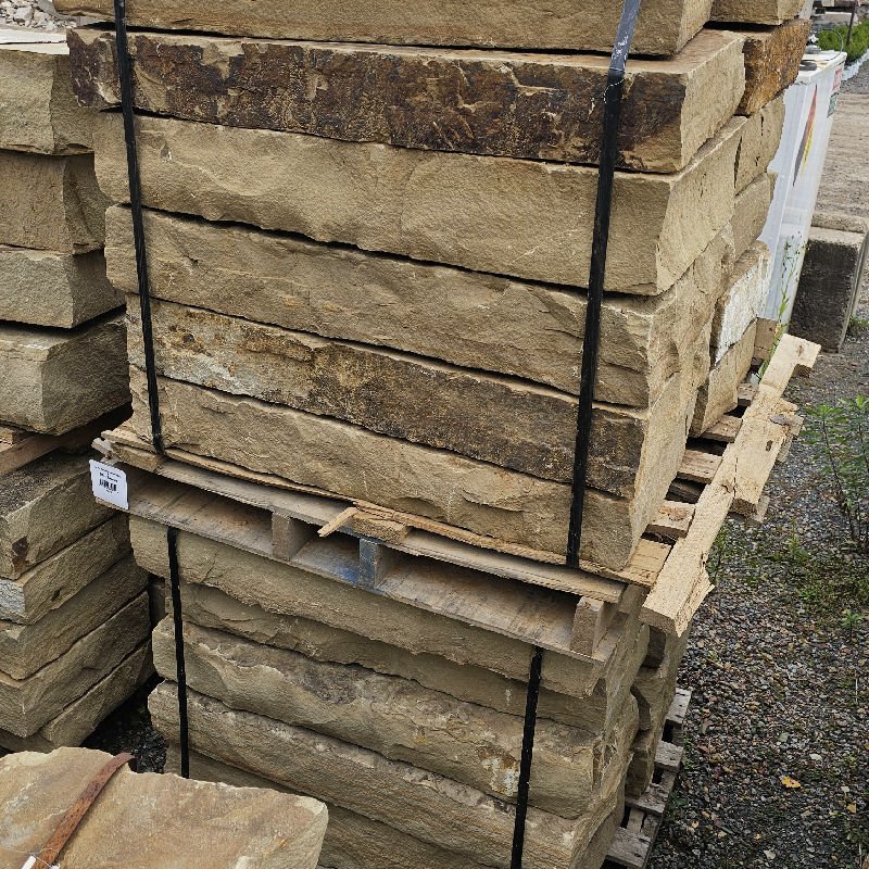 36"X18" PETRIFIED SEASHORE STEP