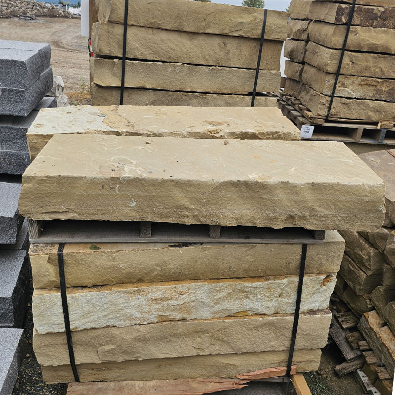 48"X18" PETRIFIED SEASHORE STEP