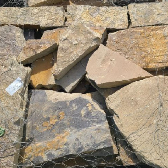 PETRIFIED SEASHORE STEPPERS