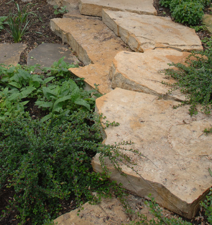 EDEN W/E OUTCROPPING BOBCAT