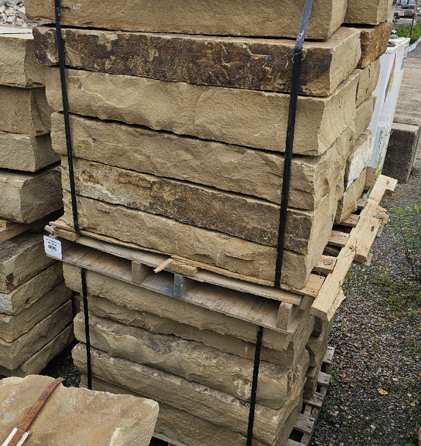 36"X18" PETRIFIED SEASHORE STEP