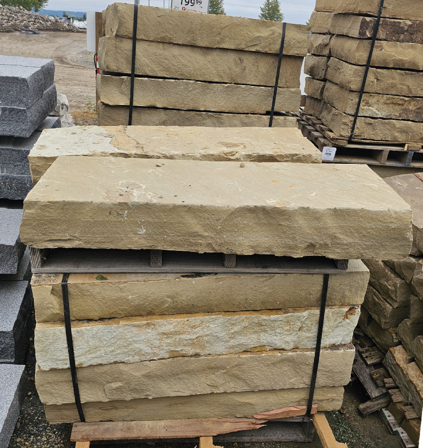 48"X18" PETRIFIED SEASHORE STEP