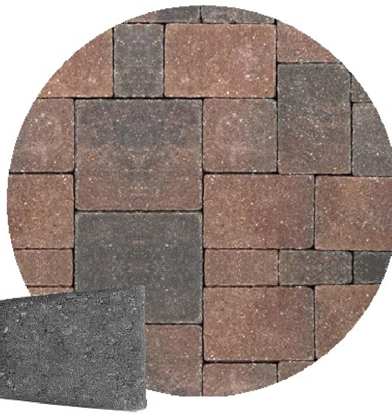 CRACOVIA LRG CIR NORTH SHORE