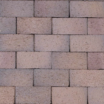 PATHWAY COCOA FR 4X8