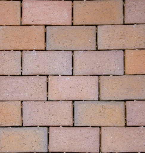 ENGLISH EDGE ROSE FR