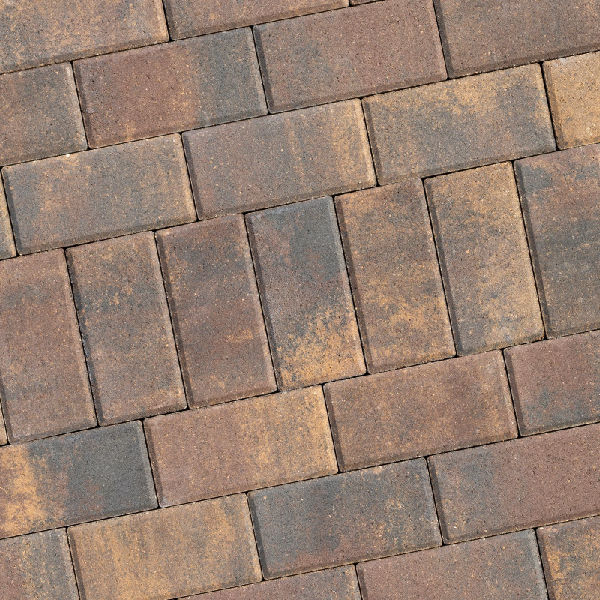 HOLLAND 6CM REC BEECHWOOD FM