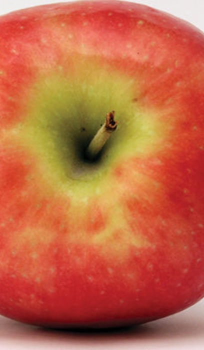 MALUS FREEDOM APPLE #5 DWF