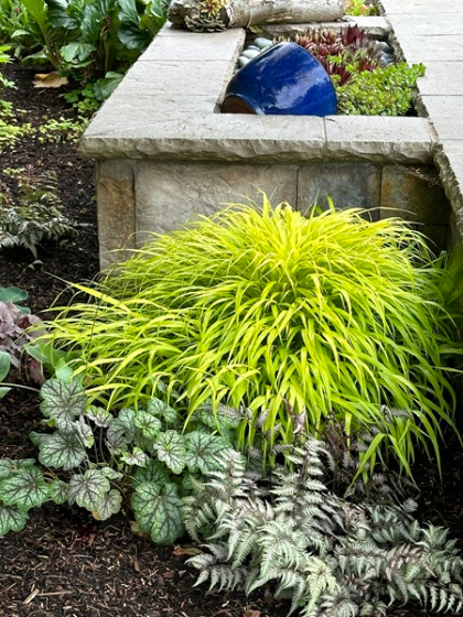 HAKON MAC ALL GOLD #1