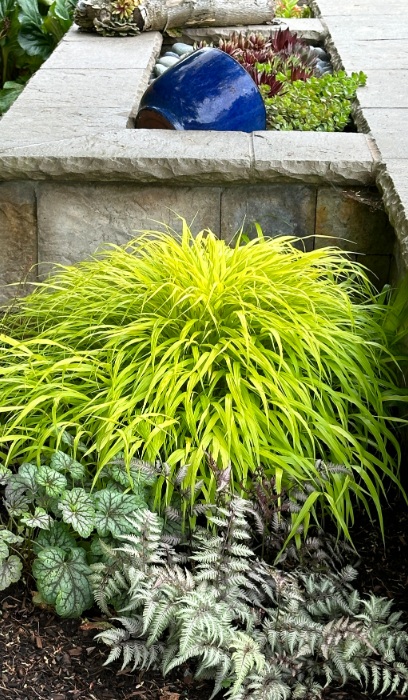 HAKON MAC ALL GOLD #1