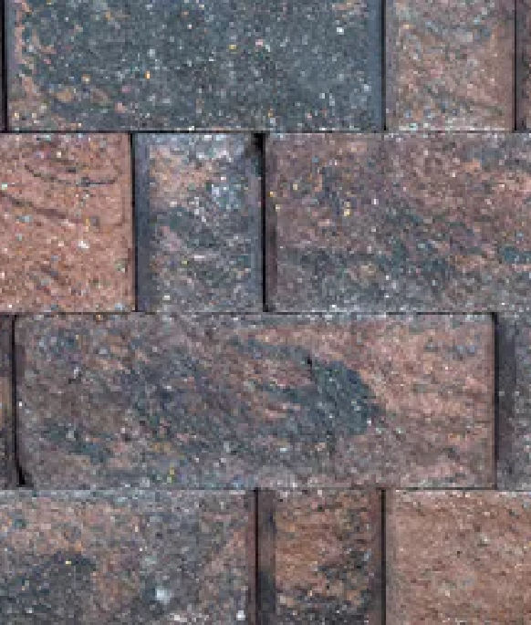 MORTEZA NORTH SHORE PALLET B