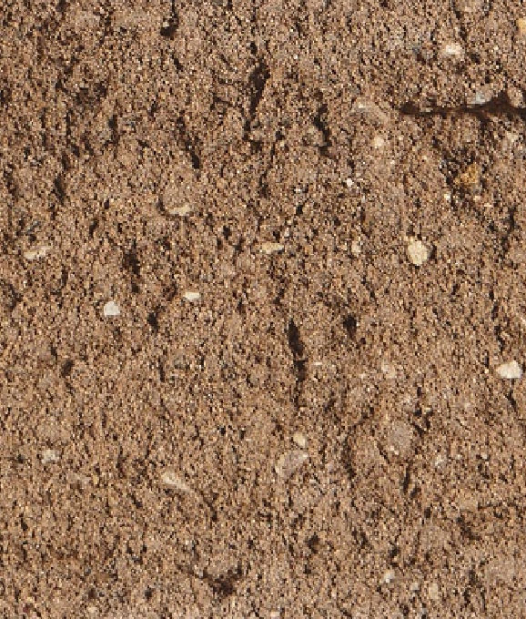 WINSTON STRGHT WALL OCTOBER OAK