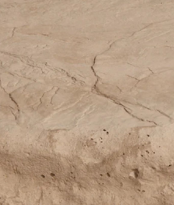 OVERSIZE LANDSCAPE STEP CAMEL