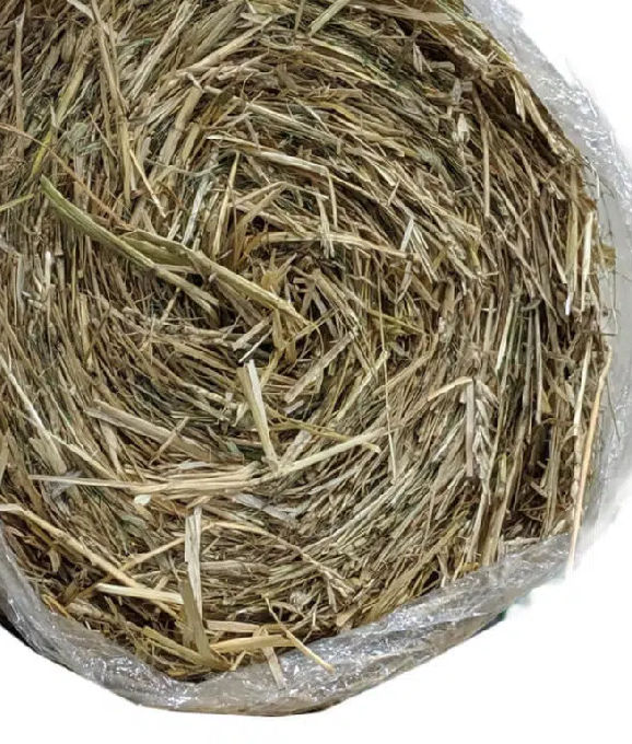 ONE-SIDED STRAW BLANKET 4X50