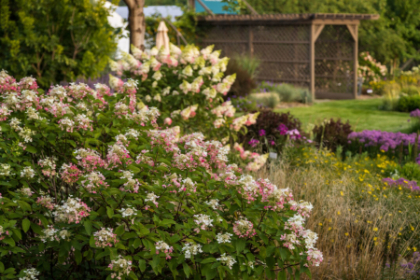 HYDRA PAN DIAMOND ROUGE #2 FE