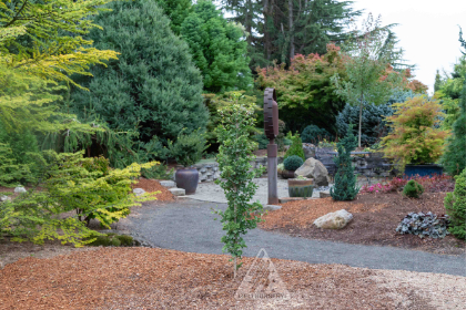 GINKGO BIL FOLKERT'S SELECT #6