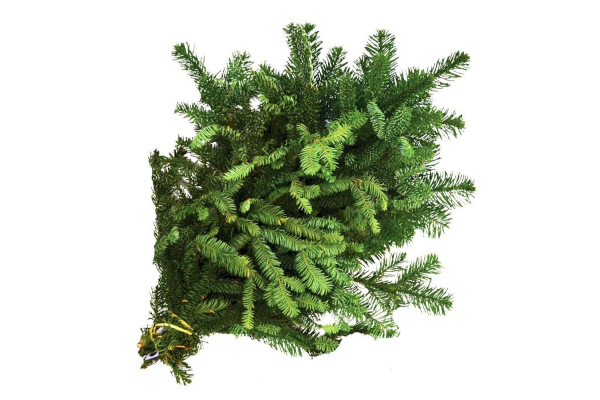 NOBLE FIR 2LB BOUGH