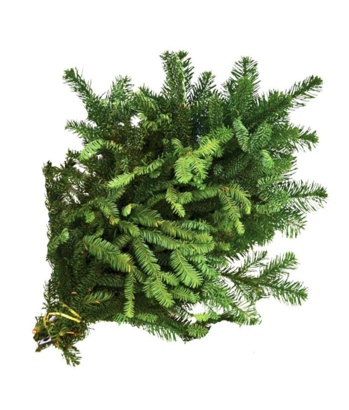 NOBLE FIR 2LB BOUGH