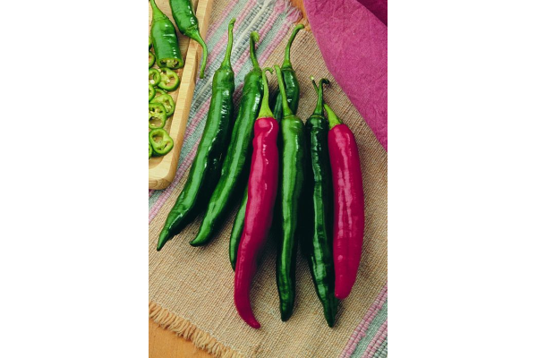 E4.75T/10PEPPER ITALIANROASTER