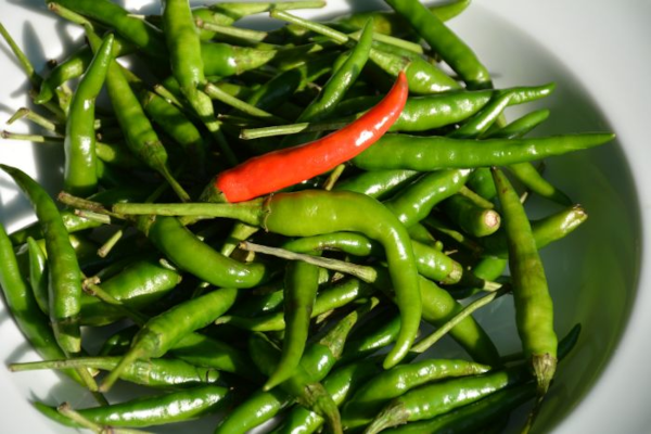 E4.75T/10PEPPER THAI