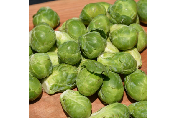 E606T/36BRUSSELS SPROUTS