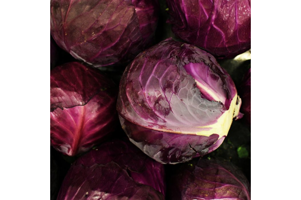 E606T/36CABBAGE RED ACRE