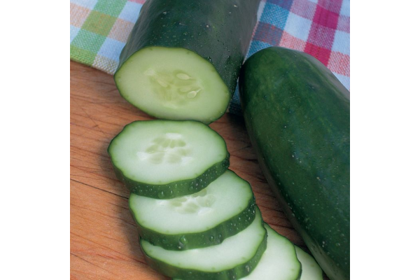E4.75T/10CUCUMBER BURPLESS