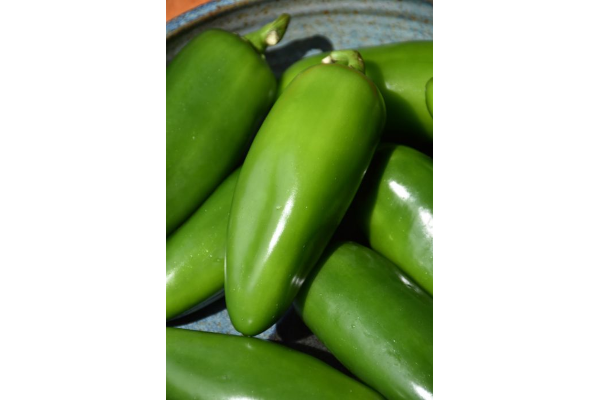 E4.75T/10PEPPER JALAPENO