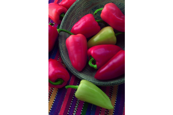 E4.75T/10PEPPER MARIACHI